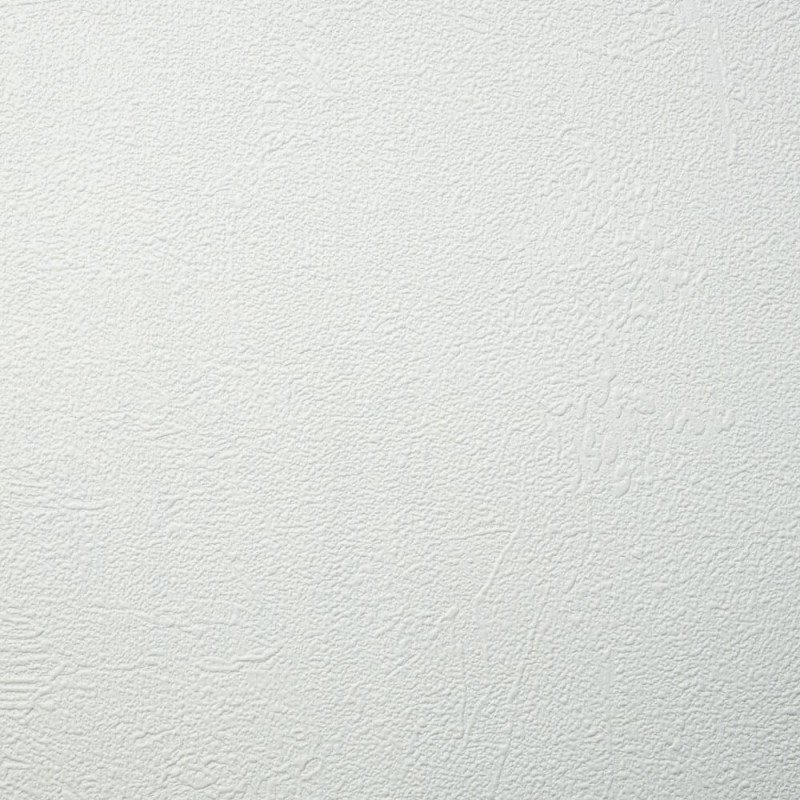 9065_9565.jpg