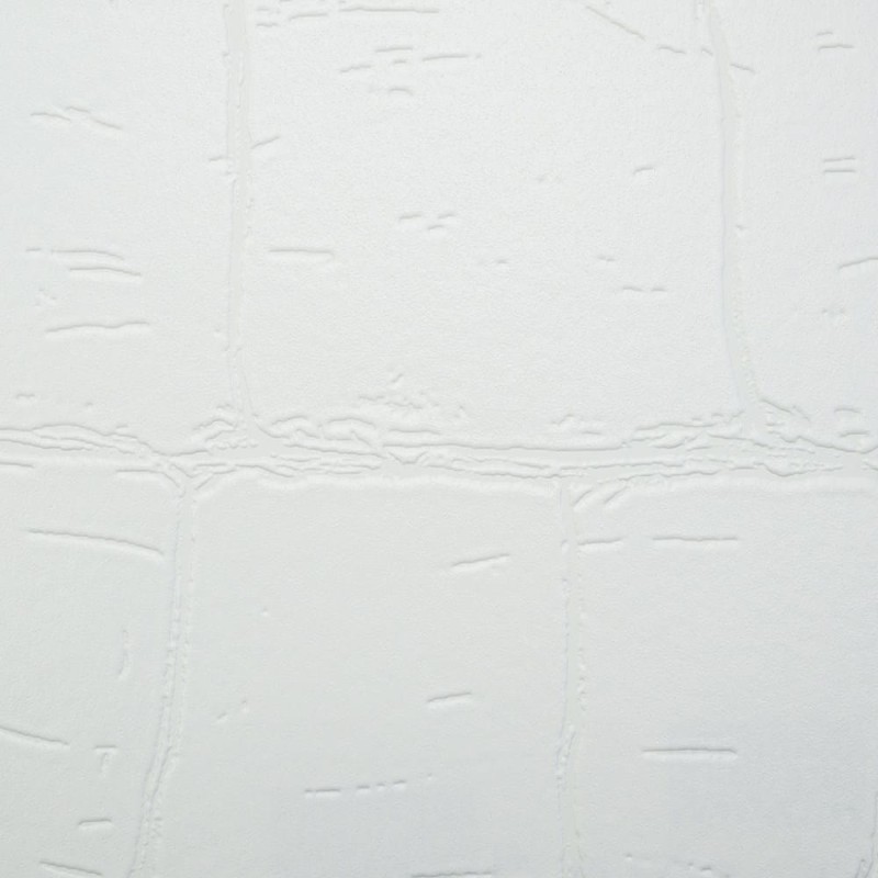 9069_9569.jpg