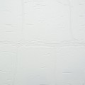 9069_9569.jpg