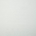 9068_9568.jpg