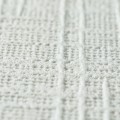 3001-2.jpg