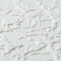 73306-2.jpg
