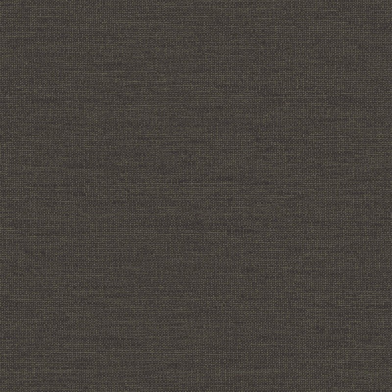 122426_3.jpg