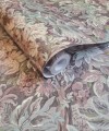 Tapeta 91631 The Lost Gardens Holden