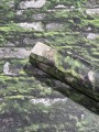 Tapeta 45731 Struktura Marburg