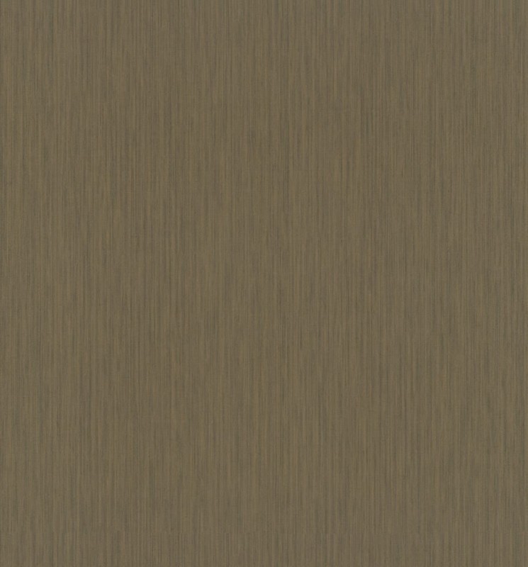 55972.jpg