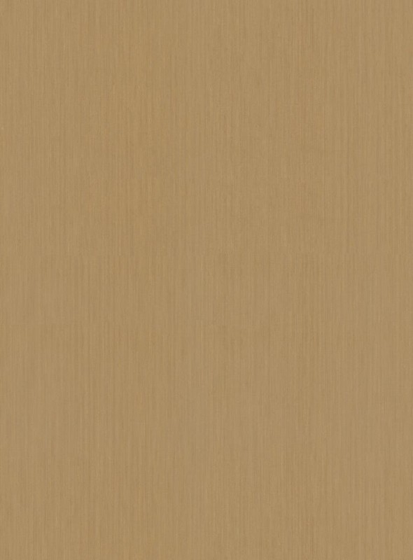 55973.jpg
