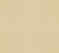 56337.jpg