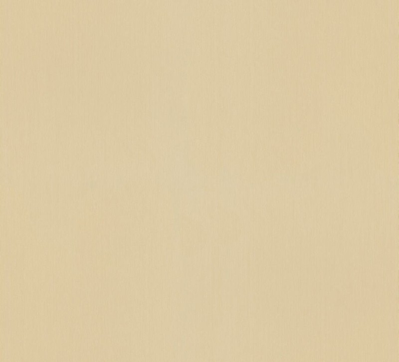 56337.jpg