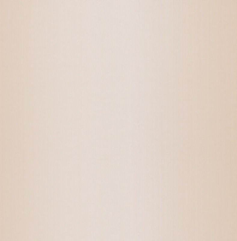 51111.jpg