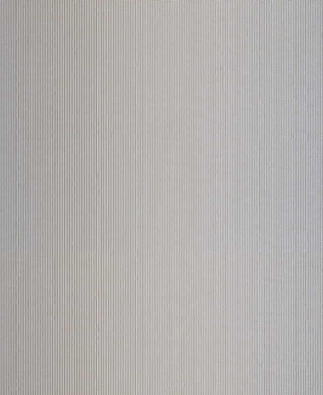 51117.jpg