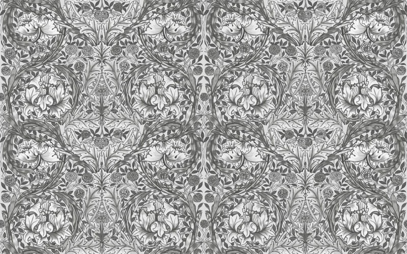 e1a40272102484ee30c026a6eb7c84fc