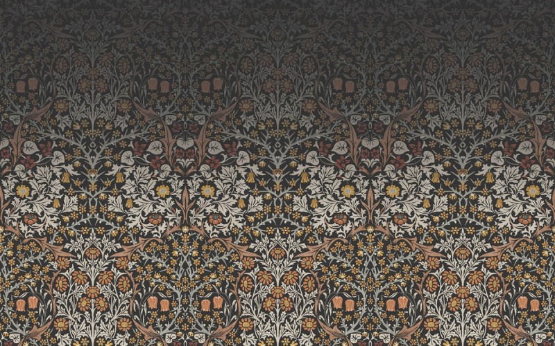 4465e67d4ba85143d3b8f382bf3ad7b8