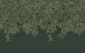 53b5cdcffd39e25884fe29abad05bb09
