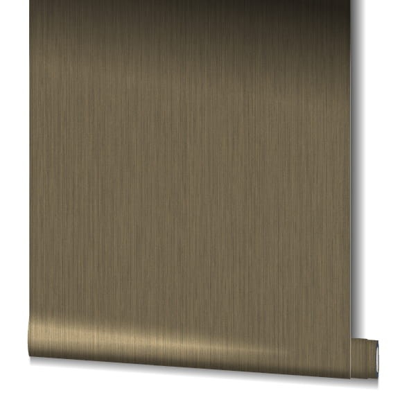 55972_3.jpg