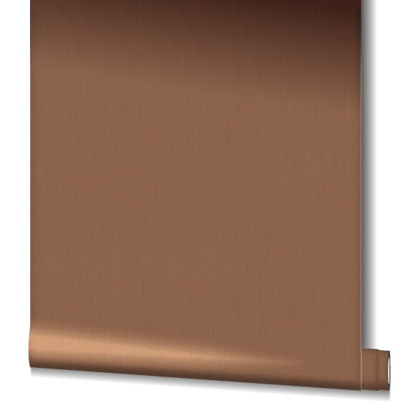 55976_3.jpg
