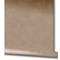 56215_3.jpg