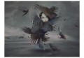 Fototapeta - Cała w piórkach