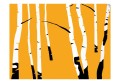 Fototapeta - Birches on the orange background