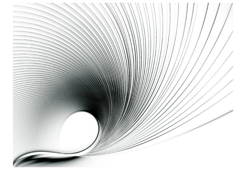 Fototapeta - Abstract fan