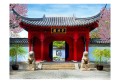 Fototapeta - Chinese botanical garden of Montreal (Quebec Canada)