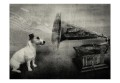 Fototapeta - Dog's melodies