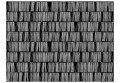Fototapeta - Home library