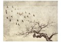 Fototapeta - Flock of birds
