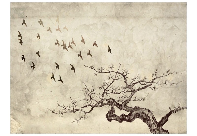 Fototapeta - Flock of birds