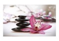 Fototapeta - Relaxation and Wellness