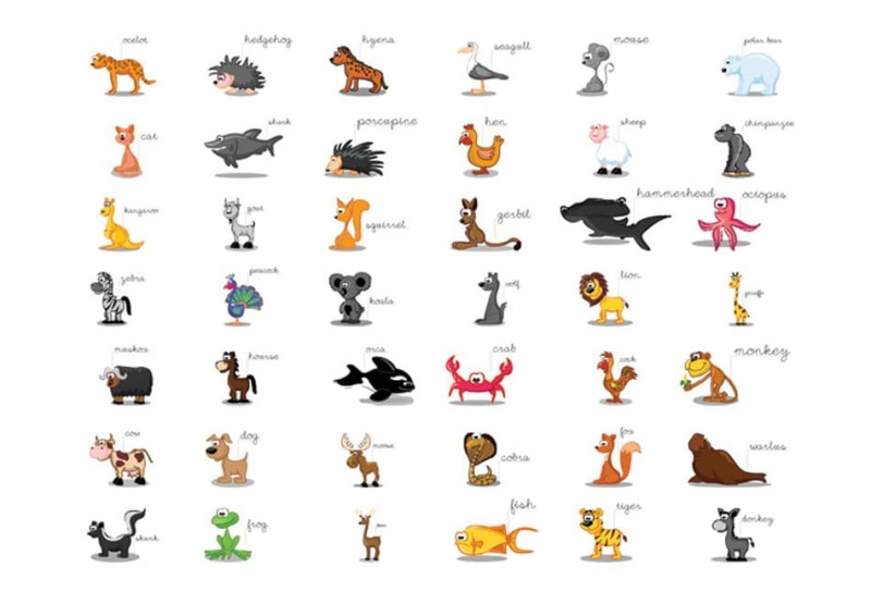 Fototapeta - Learning by playing (animals)
