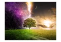 Fototapeta - Magic tree