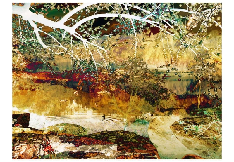 Fototapeta - River of life
