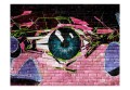 Fototapeta - oko (graffiti)
