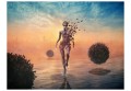 Fototapeta - Spacer po wodzie