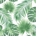 Biało-zielona tapeta na flizelinie w tropikalne liście monstera palmy