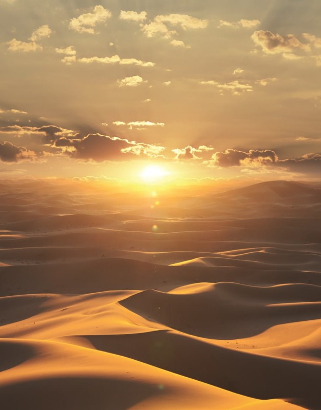 98dedcc11e8dd2f38198c450c7b4d100
