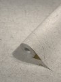 454575f245dca4077fdb18b9ca2c892e
