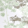 a8f868a76504ded888b3d46dcb90566f