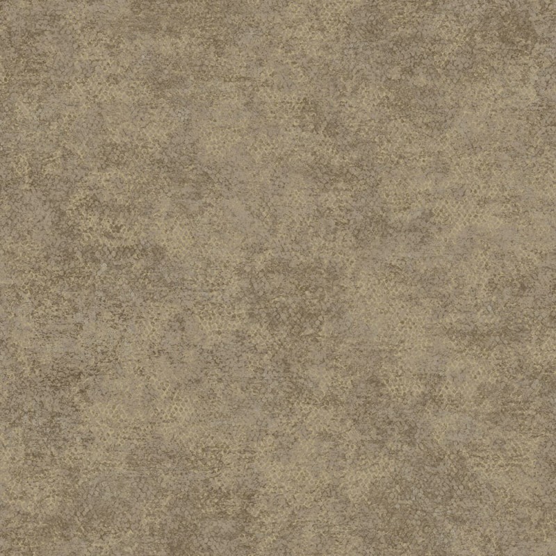 2d2b16fba46deb0ad75e4342a7da81c8