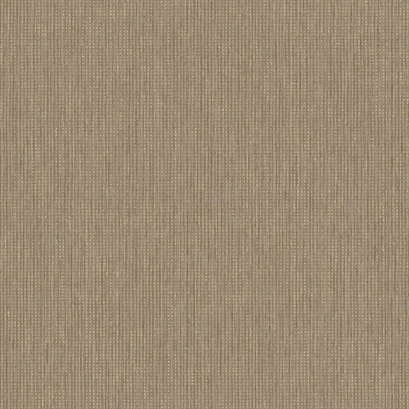 c455b62e193a6e846aa326488583961b