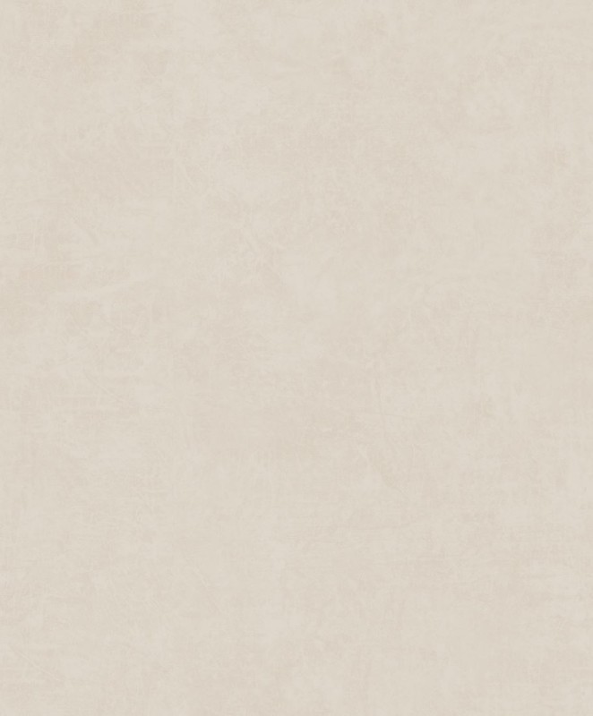 77715.jpg