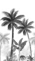 dcbcbc9ed2dfbd25644231de6e154a0f