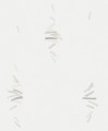 5c0ffd8eb4d9a5acd4b8ca9bdae3d19d