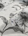 32456_001_closeup.jpg