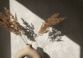 e44e83d3627b2fe12b12d7c3ed6f7dee