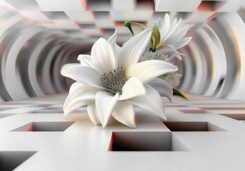 ba3e44e7bb59c8fcacc1a6b551b019df