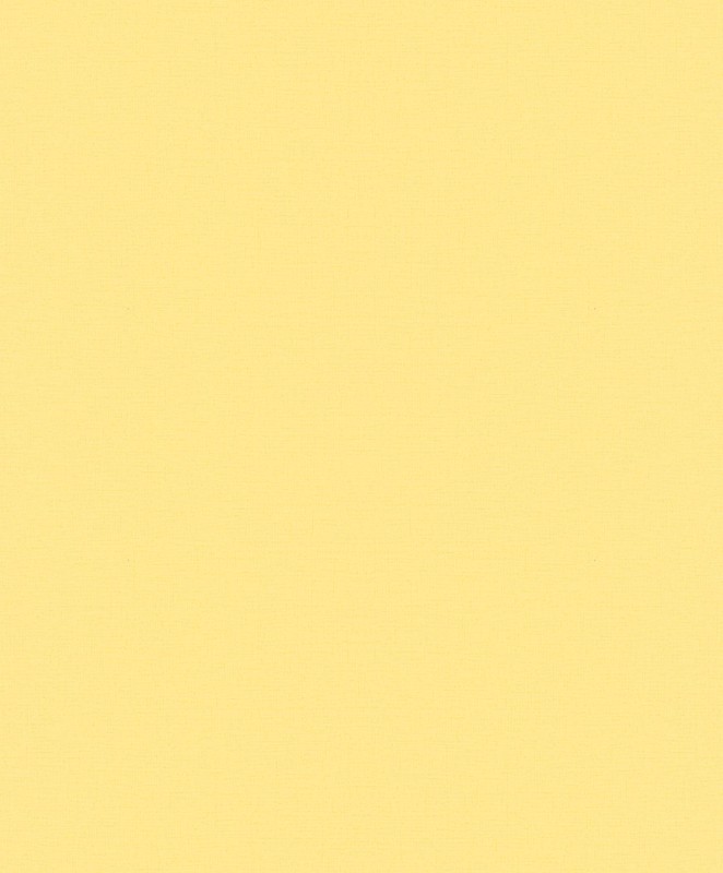 8744db763625108e0c5e288ca254a896
