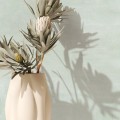 7b9900168c0733d215c5e52bc562cbaf