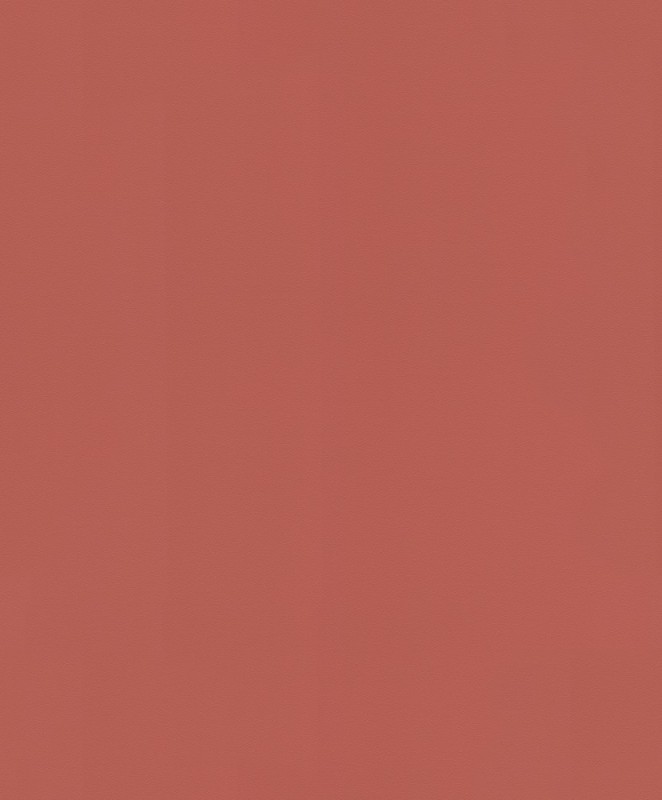 806878.jpg